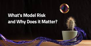 Model Risk Management Training